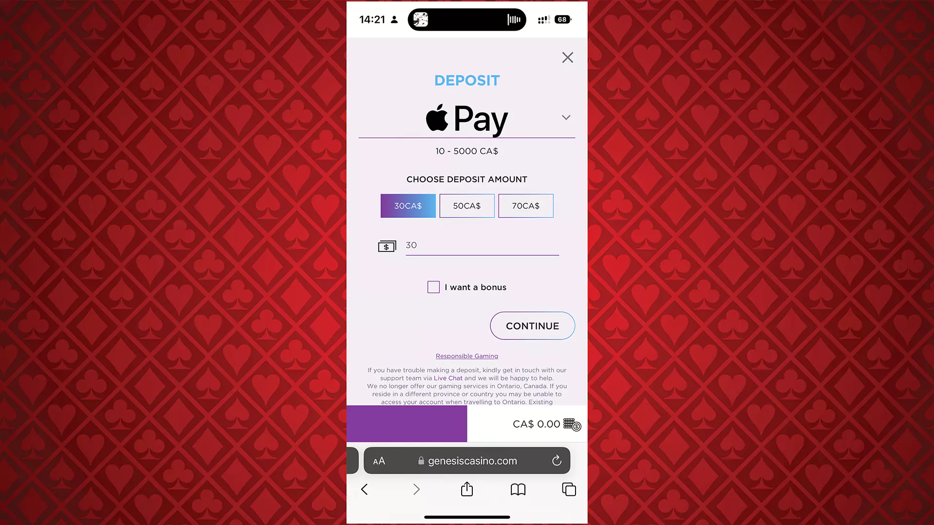 Out of all the payment options listed on the site, select